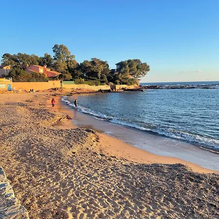 Les Anthemis- Bord De * Saint-Raphaël