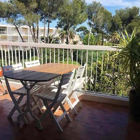 Les Anthemis- Bord De * Saint-Raphaël