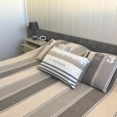 Les Anthemis- Bord De * Saint-Raphaël