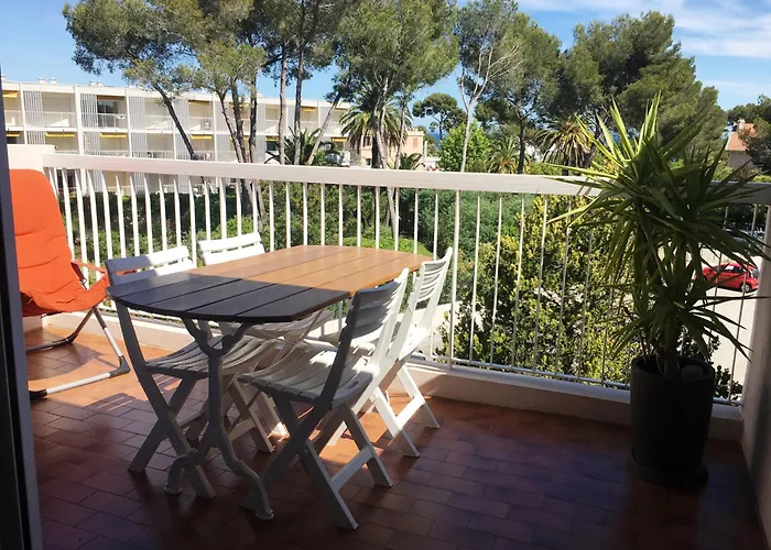 Les Anthemis- Bord De * Saint-Raphaël