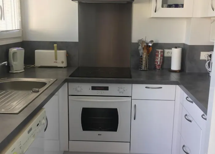 Les Anthemis- Bord De Saint-Raphaël